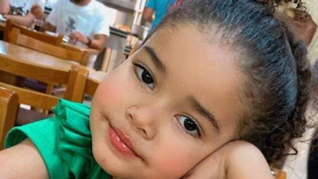 Reprodução Heloísa, de 3 anos, morreu neste sábado (16) após ser baleada por policiais rodoviários