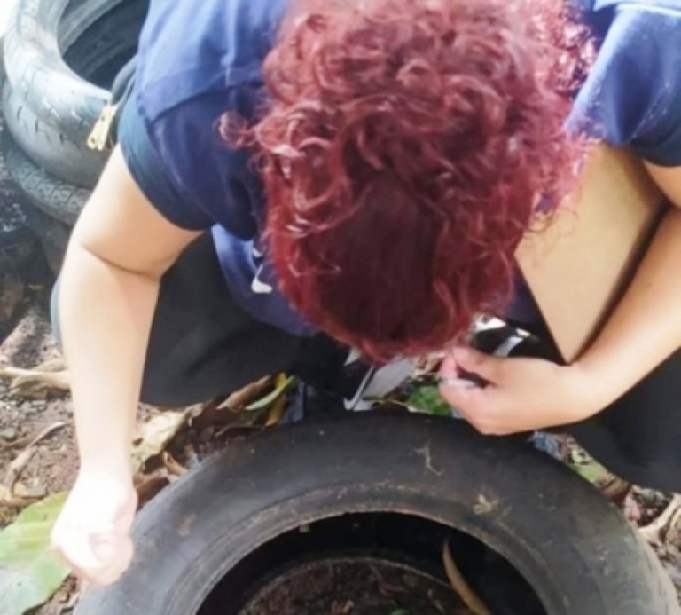 Bloqueio contra dengue vai a bairros da zona sul e distrito de Avencas