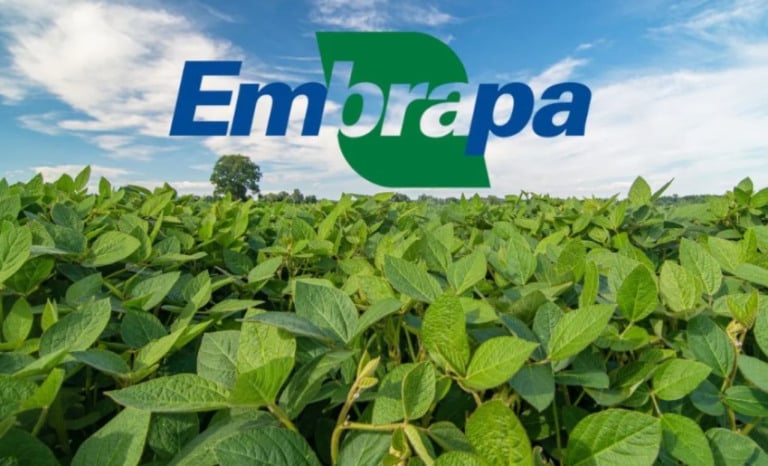 Embrapa comemora 50 anos com Seminário Desafios da Liderança Brasileira no Mercado Mundial da Soja