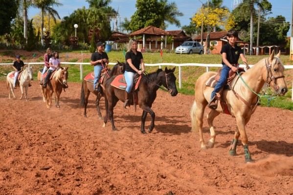 Cavalos apreendidos em rodovia vão ajudar equitação e saúde em Marília