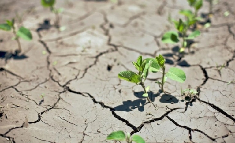 Depois do “El Niño”, agora é a vez de “La Niña” trazer intempéries climáticas e mais prejuízos