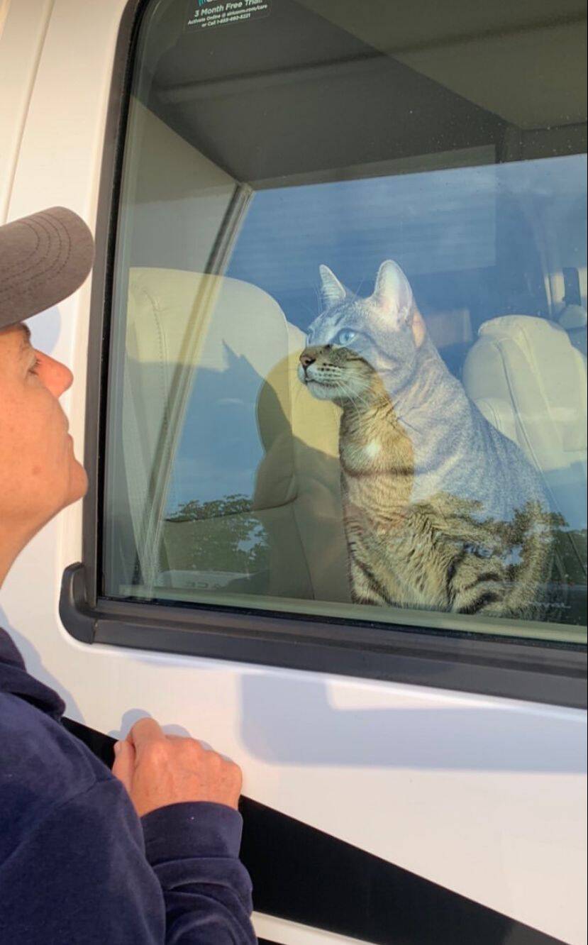 Merlin, no motorhome de Heloísa Velloso. Foto: Arquivo pessoal