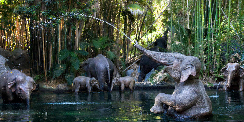 Animais eletrônicos em tamanho real estão espalhados pelos rios da atração. Foto: Reprodução