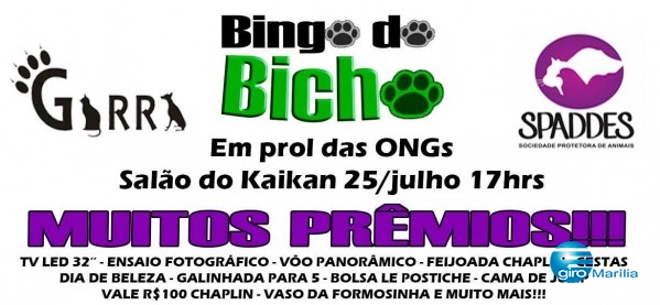 Bingo do Bicho, Amor no Cabide e muito mais na agenda do bem; confira e participe