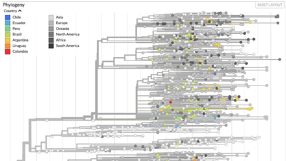 Gráfico com pontos marcando diferentes registros do coronavírus pelo mundo