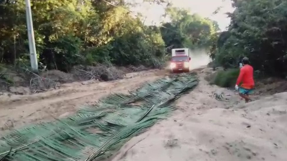 Caminhão para sobre folha colocadas na estrada