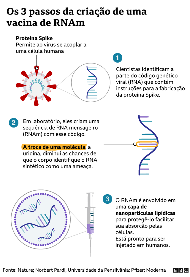 Gráfico de como se fez a vacina de RNAm