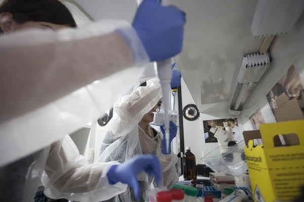 Cientista Marta Giovanetti trabalhando no laboratório