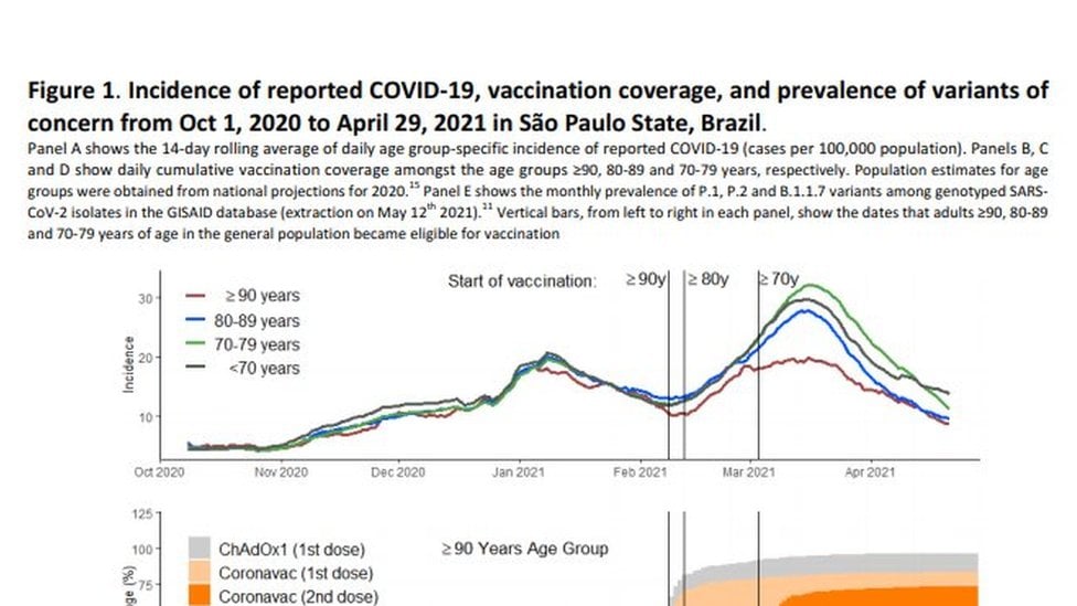 Gráfico de estudo sobre a CoronaVac