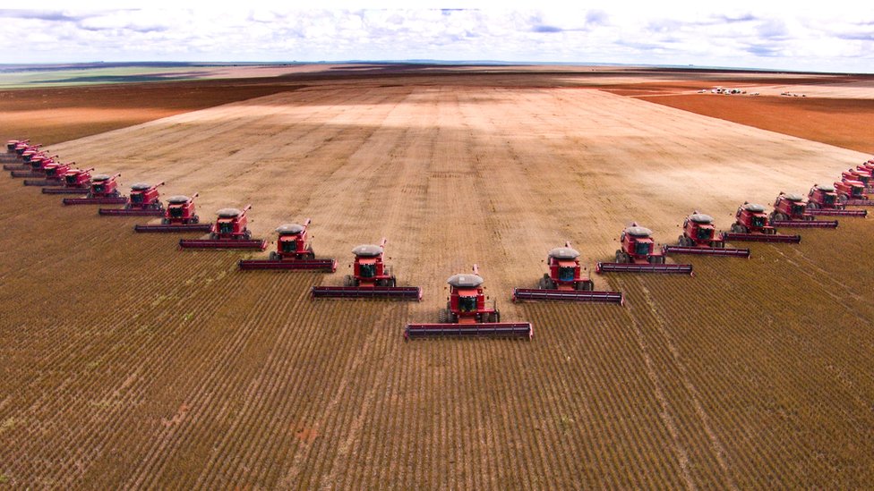 Colheita de soja no Mato Grosso