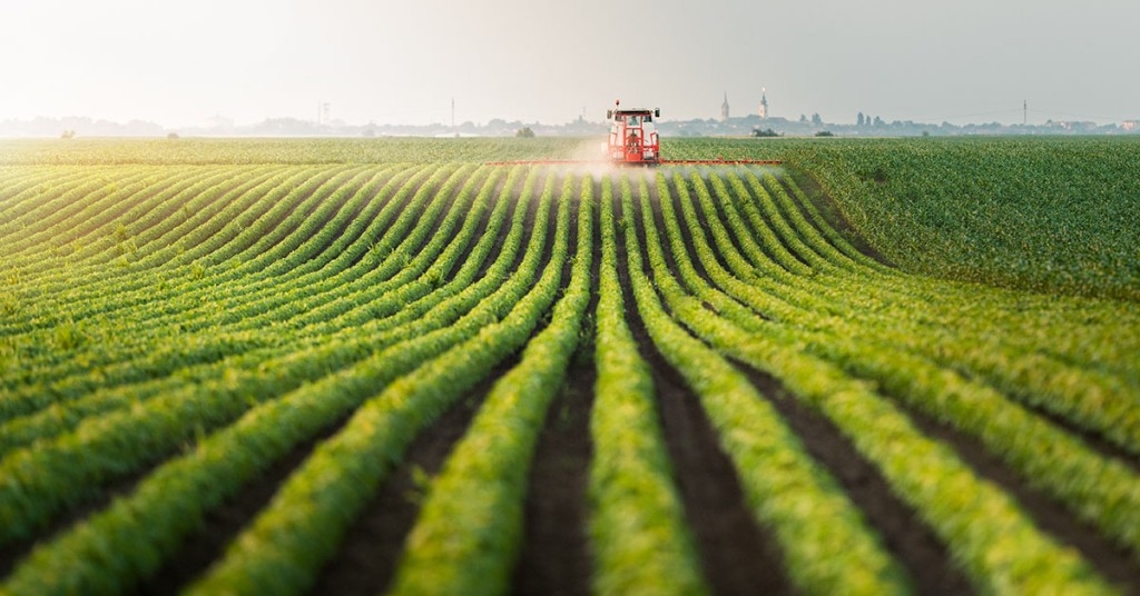 Minas Gerais e Mato Grosso unem forças para impulsionar o agronegócio brasileiro Minas Gerais e Mato Grosso unem forças para impulsionar o agronegócio brasileiro