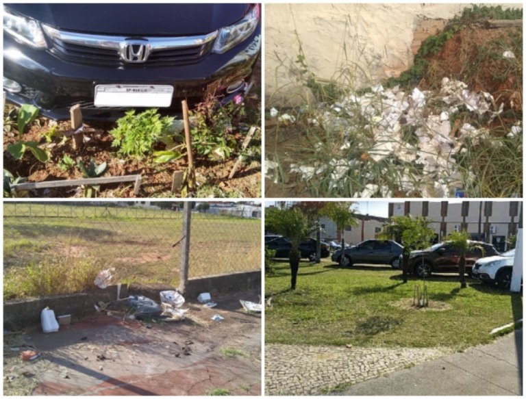 Plantio de árvores no centro enfrenta lixo, abandono e carros sobre paisagismo