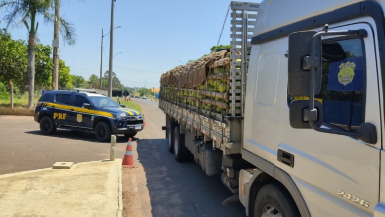 Motorista de 25 anos flagrado com 'rebites' na BR-153: quase 24h sem dormir