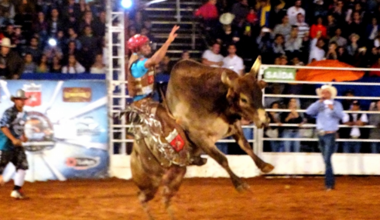 TJ confirma veto a provas de rodeio com crueldade em Marília