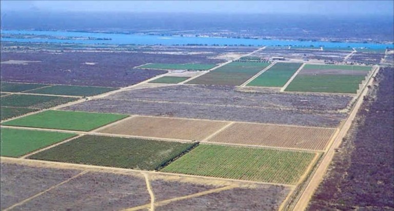 Investimentos na fruticultura impulsionam desenvolvimento no interior de Pernambuco