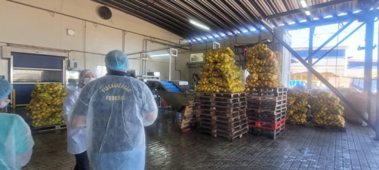 Força-tarefa fiscaliza 22 empresas de bebidas e fecha quatro no Estado