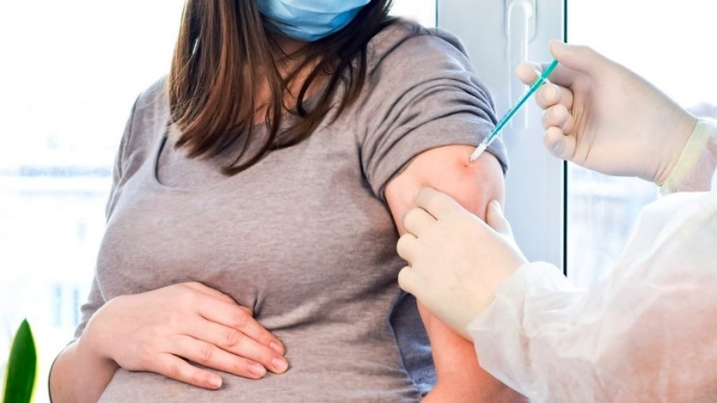 Gestante vacinada com Coronavac transmite anticorpos ao bebê