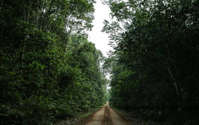 fazenda Ivo Cassol