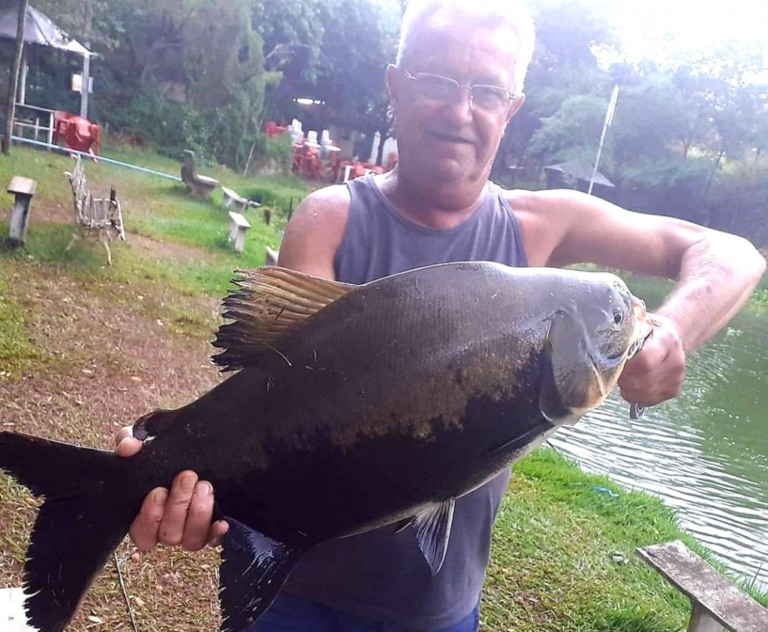 Luto - Morre em Marília Antônio Bandiera, maitre de grandes eventos