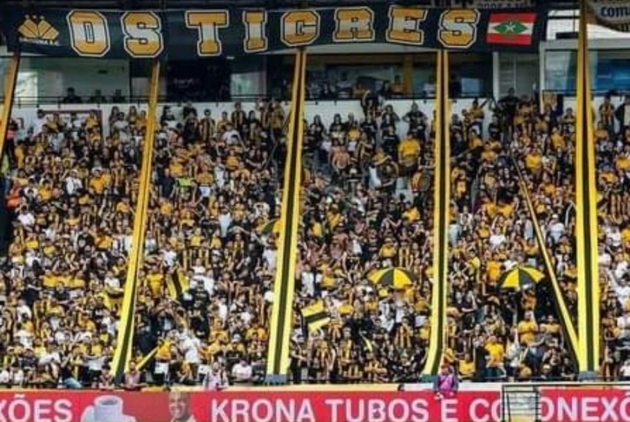 Torcida foi marcante na campanha do Criciúma na atual edição da Série B