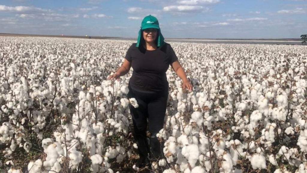 Deborah Bresser/Portal iG No meio da plantação de algodão da Fazenda Pamplona