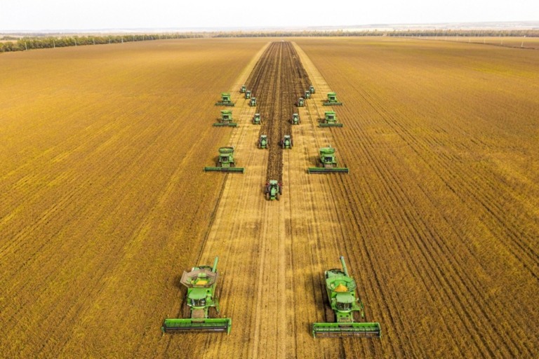 Agronegócio cresceu 11,3% nos 3 primeiros meses de 2024 e superou as projeções