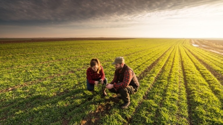 Estudos da Embrapa mostram que o Brasil é exemplo para o mundo na utilização consciente de recursos naturais e produção agrícola