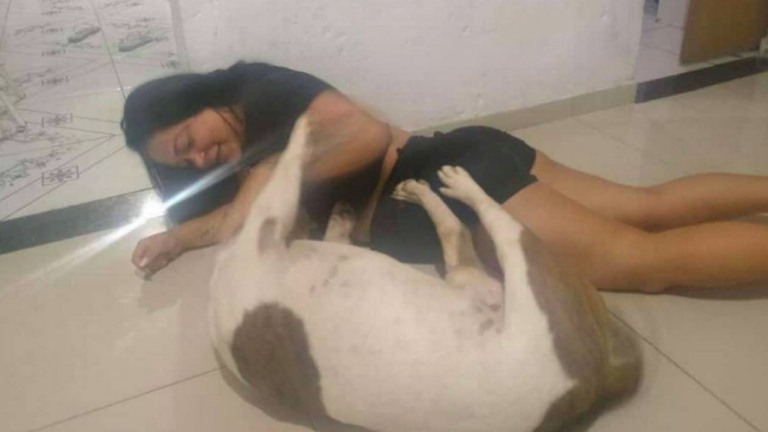 RJ: homem mata cachorro com 21 facadas