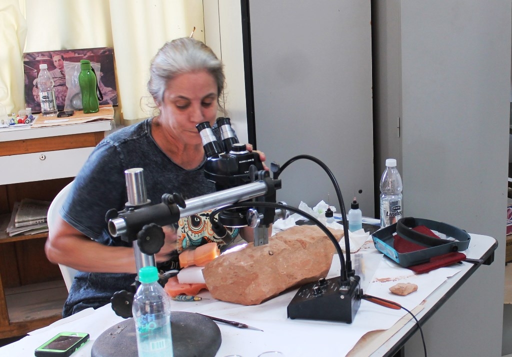 DINOSSAUROS - Museu de Marília recebe pesquisadores de Los Angeles