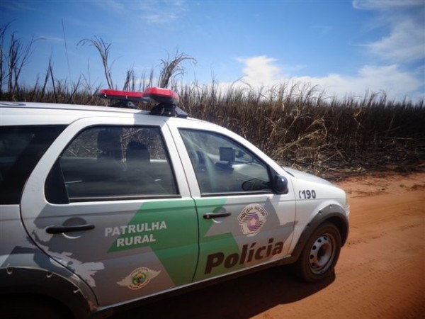 Queimada na região destrói área equivalente a 573 campos de futebol