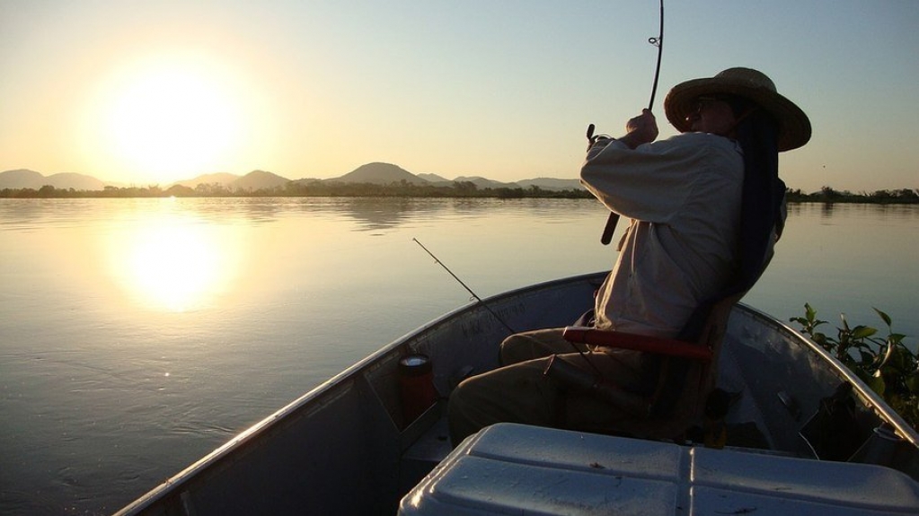 Pantanal: o que fazer em uma das maiores planícies alagadas do mundo