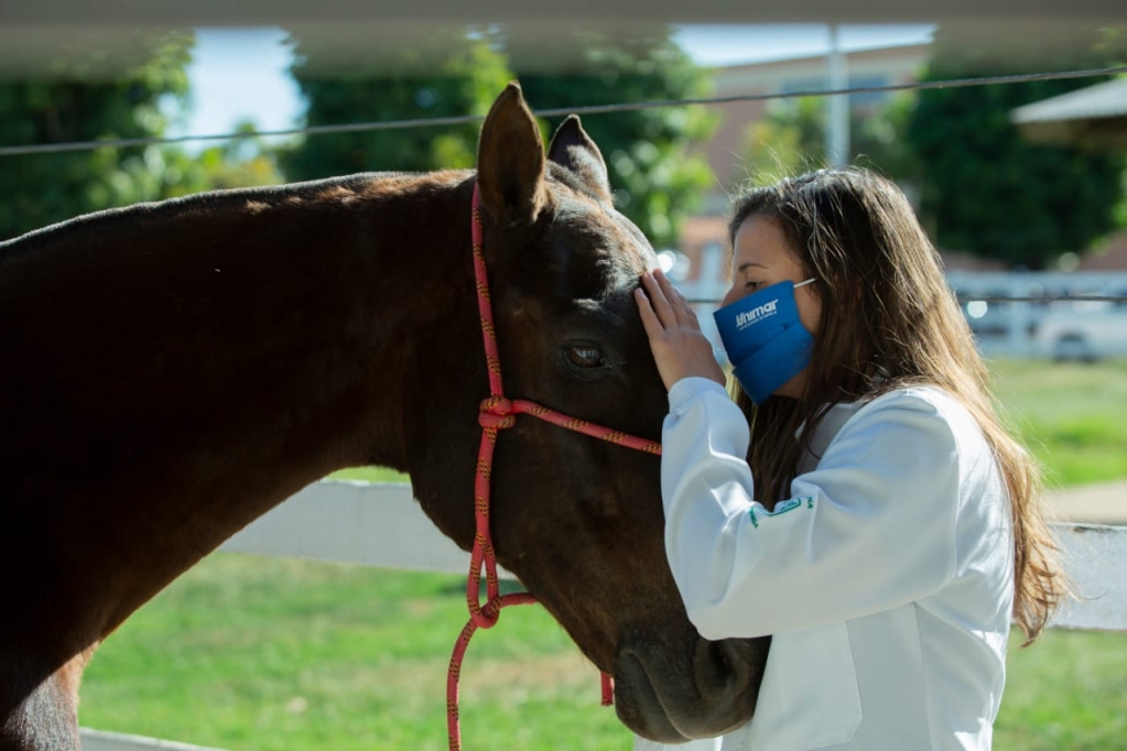 O ensino da Medicina Veterinária com foco humanista: perfil do egresso