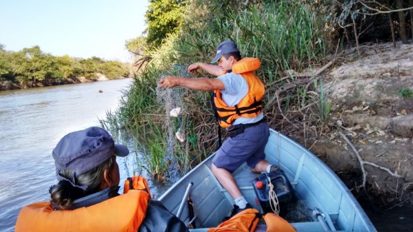 Piracema termina com R$ 88 mil em multas; fiscalização segue nos rios