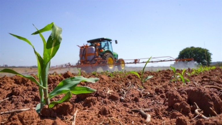 Intempéries climáticas provocaram redução de área plantada no RS