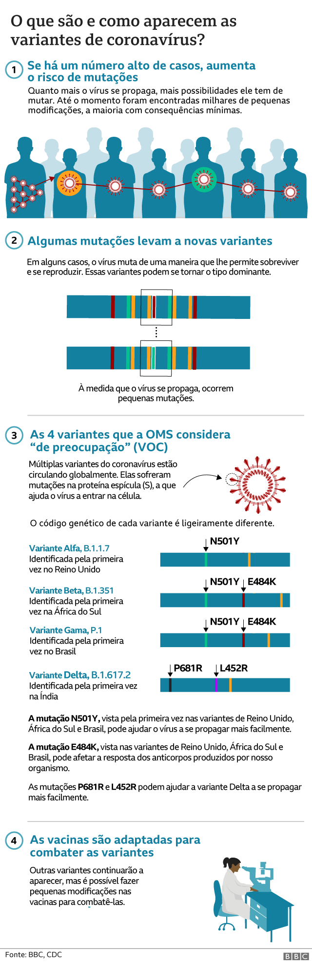 Gráfico sobre o que são as variantes