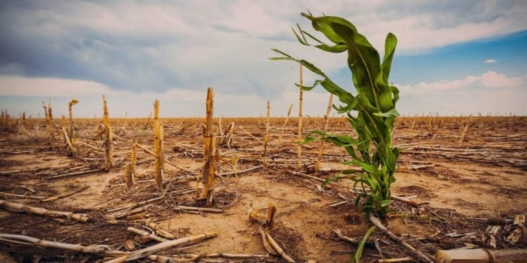Vem aí o inverno: veja as previsões região por região e como pode afetar os agronegócio