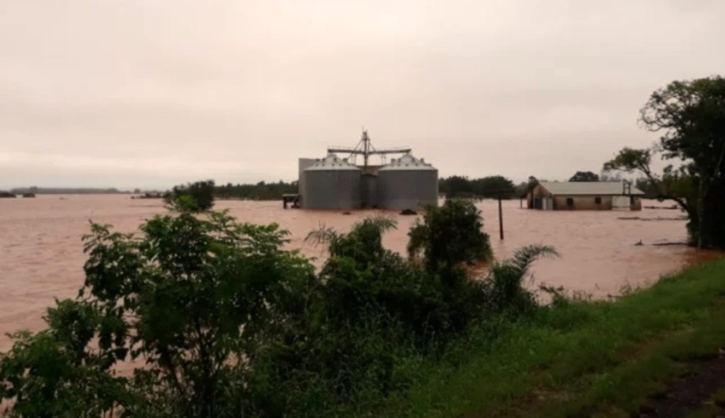 Situação do Rio Grande do Sul só piora: perdas do agro são incalculáveis Situação do Rio Grande do Sul só piora: perdas do agro são incalculáveis
