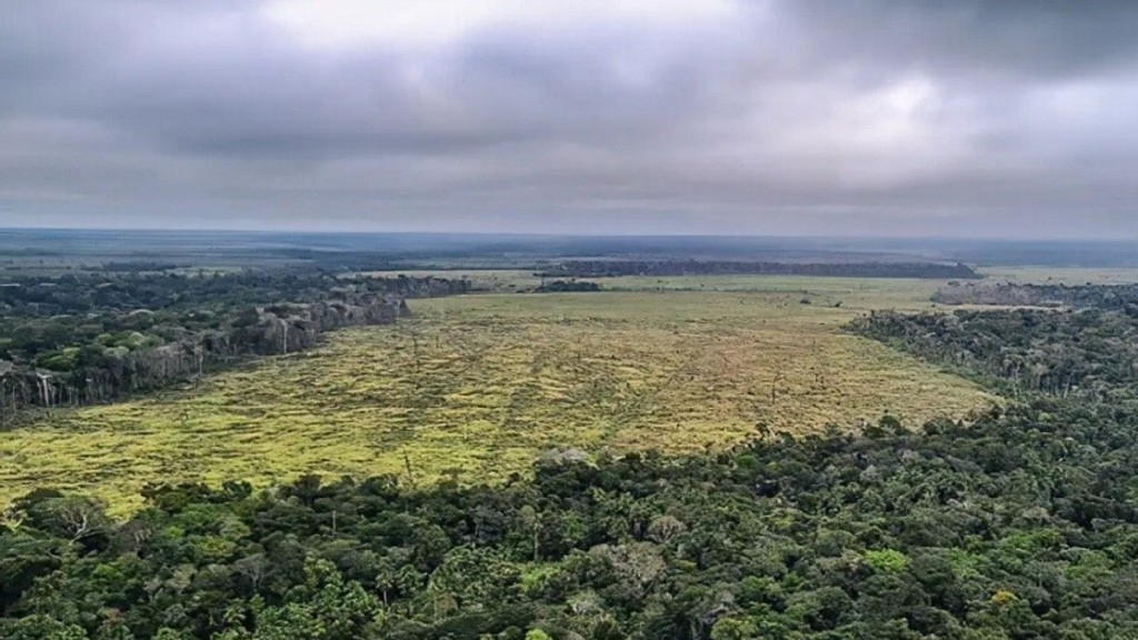 ESTADÃO CONTEÚDO Desmatamento no Cerrado é maior do que na Amazônia