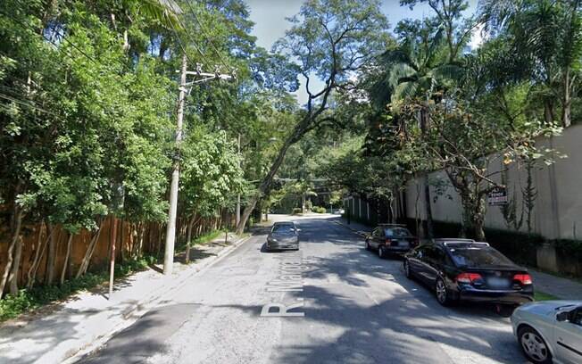 rua com árvores