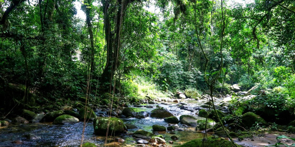 © Tania Rego/Agência © Tania Rego/Agência