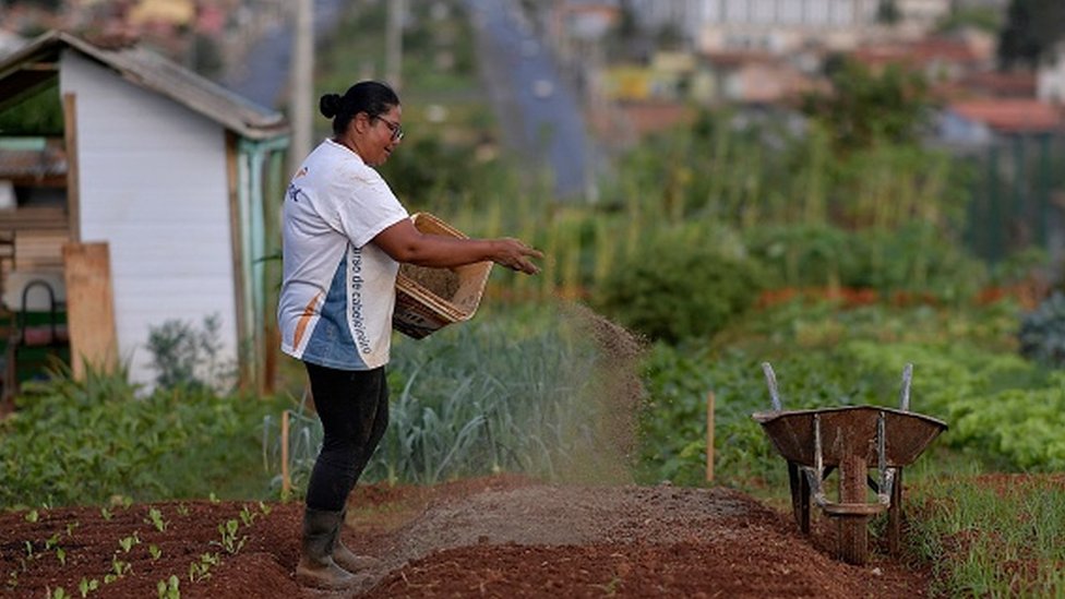 Horta urbana em Sete Lagoas, Minas Gerais