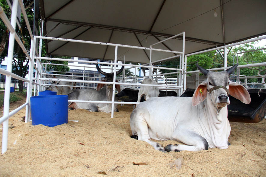 Secam divulga ciência com estrutura de feira do agronegócio