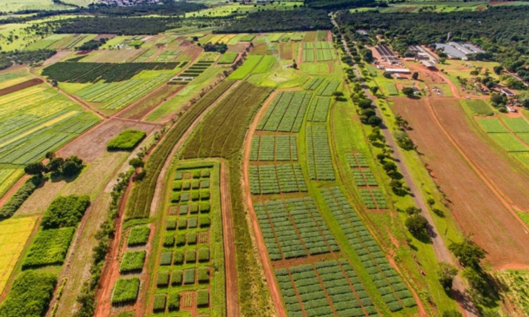 Proposta que proíbe desmatamento no cerrado pode trazer prejuízos aos produtores, alerta presidente o IA