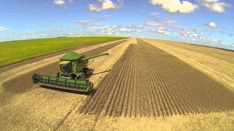 Ministério da Agricultura autoriza plantio de soja a partir de 1° de setembro