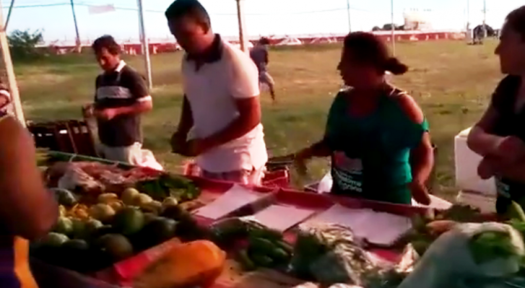 Horta Comunitária quer alimentos agroecológicos no orçamento de Marília