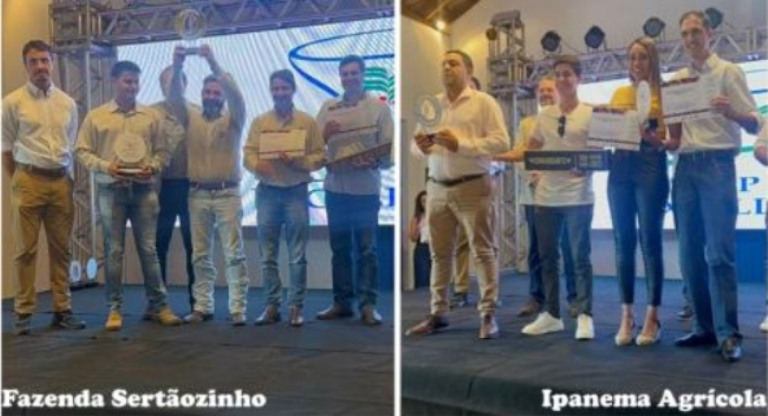 Cafés produzidos em Minas e São Paulo são premiados o principal concurso de qualidade do mundo