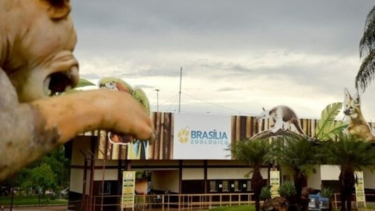 Agência Brasília Zoo Noturno diverte visitantes com experiência única no mundo animal