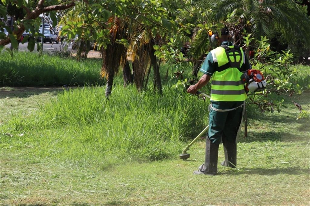 Limpeza de emergência começa segunda, abre 40 vagas na terça