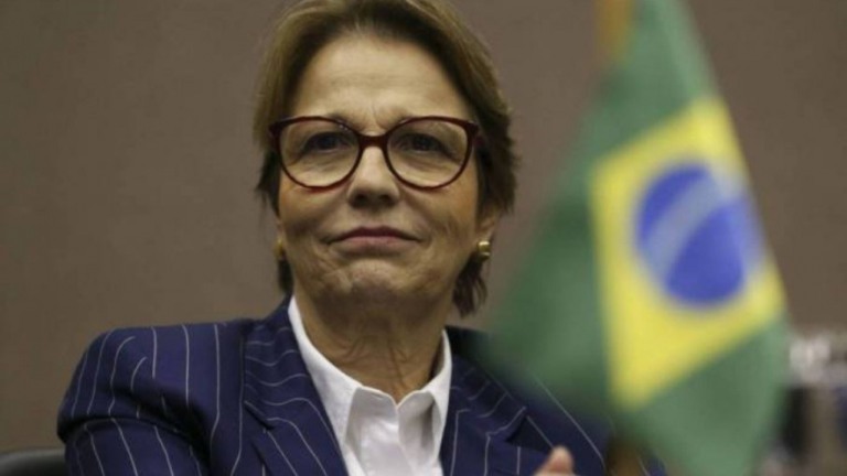 Governo deve lançar programa para produção de fertilizantes neste mês