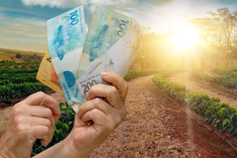 BNDES lança linha de crédito de R$ 10 bilhões para impulsionar o agronegócio